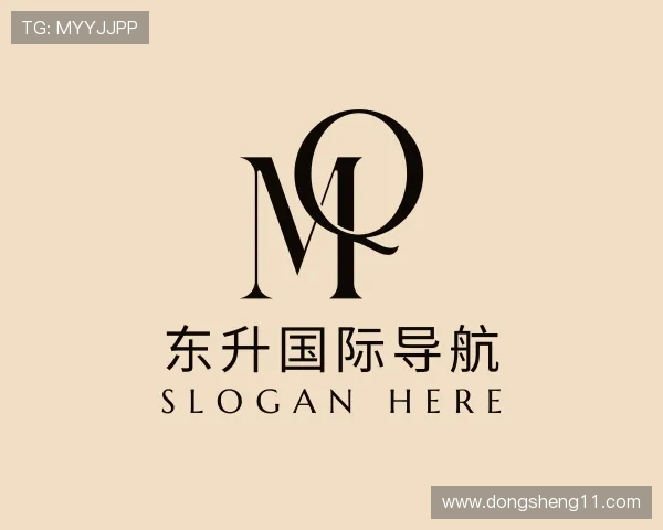 解读东升国际导航